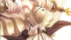 Saber saber lily fate series detached sleeves Fate Unlimited 