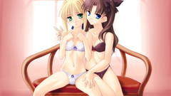 Saber series Anime fate