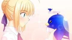 Saber type-moon fate series visual novels