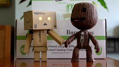 Sackboy danboard