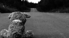 Sad roads teddy bears