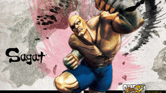 Sagat Street Fighter IV