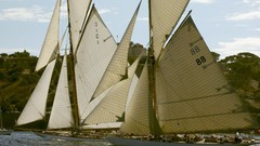 Sailboats