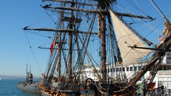 Sailfish sailboat ship watercraft