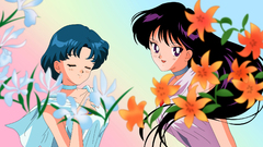 Sailor mars Sailor Mercury
