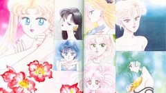 Sailor moon Anime