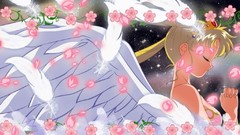 Sailor moon Anime anime