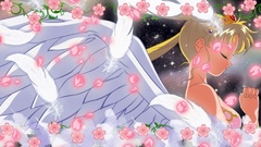 Sailor moon bishoujo senshi