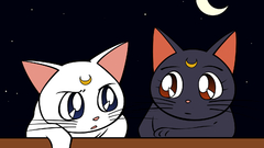 Sailor sure thing Manga