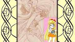 Sailorvenus perfect star Manga