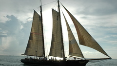 Sails ship sailfish istioforo