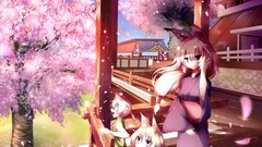 Sakura drawings anime girls cherry blossoms animal ears 
