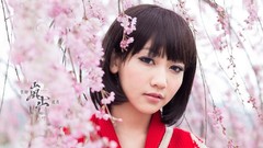 Sakura Japanese asians Japanese gardens Lin Lin