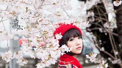 Sakura Japanese asians Japanese gardens Lin Lin