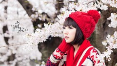 Sakura Japanese asians Japanese gardens Lin Lin