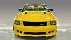 Saleen 2006 muscle cars