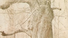 Salt Print breast led henri secq