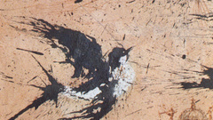 Salvador Dalí artwork