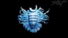 Salvinorin shpongle by archanox