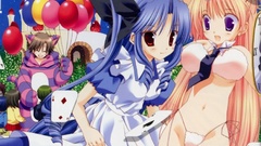 Sample hedgehog hey there