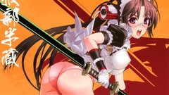 Samurai girls Hyakka Ryouran Samurai Girls Hattori Hanzo