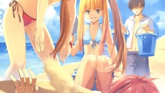 Sand Aisha Beaches blondes long hair anime girls redheads 