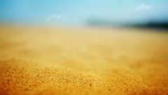 sand beach macro yellow depth of field blurred