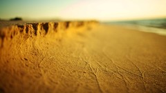 Sand Beaches depth of field