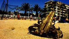 Sand Beaches zippers