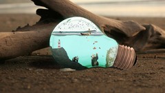 Sand Birds bench Boats underwater funny pizza Photo 