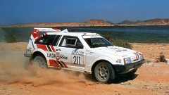 Sand cars rally USSR