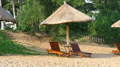 Sand chairs Plants Umbrellas Beaches