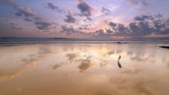 Sand clouds stick wet