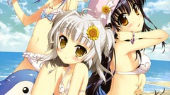 Sand clouds Sunflowers Birds sitting Beaches bracelets blue 