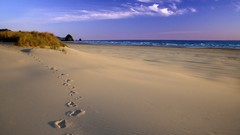 Sand coast Oregon