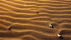Sand deserts