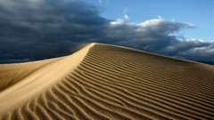 Sand deserts Dune 1984