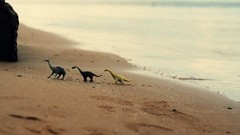 Sand Dinosaurs Beaches toys (children)