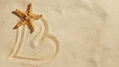 Sand Drawn Hearts starfish Beaches