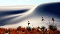 Sand dunes deserts