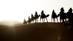Sand dunes Sahara Camels deserts