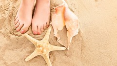 Sand feet shells starfish Beaches seashells toes