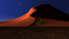 Sand hills nature moon