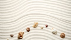 Sand lines Beaches seashells