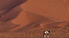 Sand national geographic