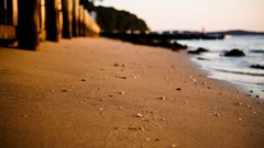 Sand nature Beaches piers bokeh seashells depth of field sea 