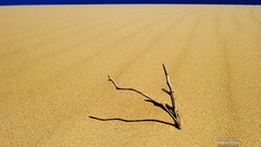 Sand nature blue skies deserts