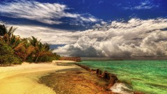Sand nature clouds summer coast palm trees tropical scenic