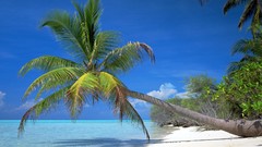 Sand nature sun Beaches