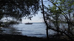 Sand nature Trees water sunny lakes forests